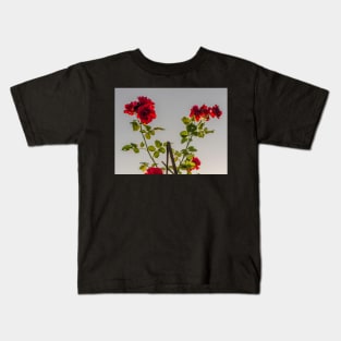 Red roses against summer evening sun Kids T-Shirt